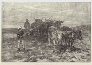 Pløyer på Sussex Downs